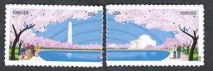 United States #4651-52 Forever (45¢) Cherry Blossom Centennial. Two singles. MNH