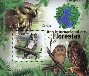Owls Stamp Birds Asio Madagascariensis Ninox Connivens S/S MNH #4383 / Bl.419