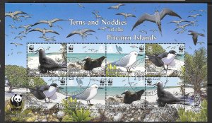 PITCAIRN ISLANDS SGMS728 2007 TERNS & NODDIES FINE USED