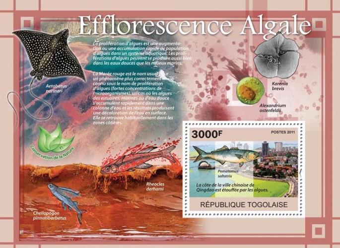 TOGO 2011 SHEET ALGAL BLOOMS EFFLORESCENCE MARINE LIFE tg11111b