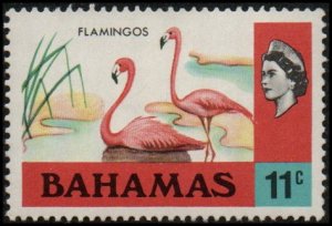 Bahamas 322 - Unused-NG - 11c Flamingos (1971) (cv $2.40)