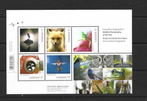 CANADA - 2010 WILDLIFE PHOTOGRAPHY SOUVENIR SHEET - SCOTT 2388 - MNH