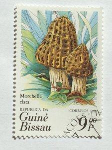 Guinea-Bissau – 1985 – Single Mushroom Stamp – SC# 635b - Used