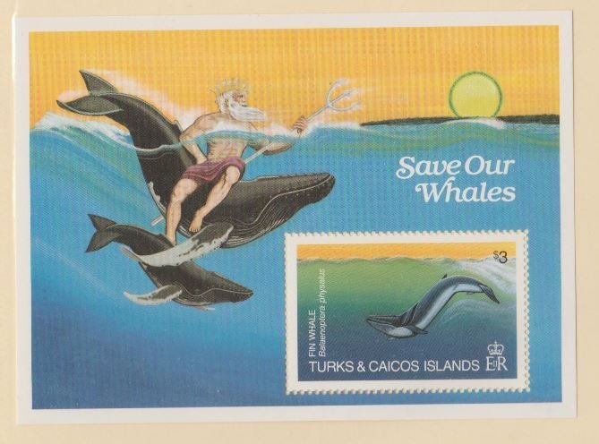 Turks & Caicos Scott #572 Stamps - Mint NH Souvenir Sheet