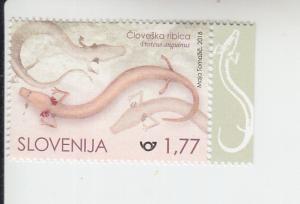 2018 Slovenia Proteus Anguinas  (Scott 1274) MNH