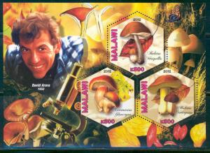 MALAWI 2012 MUSHROOMS