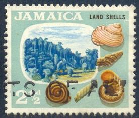 Snails, Land Shells, Jamaica stamp SC#220 Used