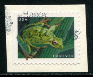 5395 US (55c) Frogs - Pacific Tree Frog SA, used on paper