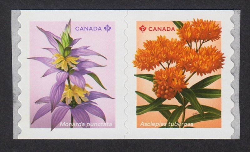 BUTTERFLY MILKWEED, BEEBALM wildflowers = COIL Pair Type 2 = MNH Canada 2024