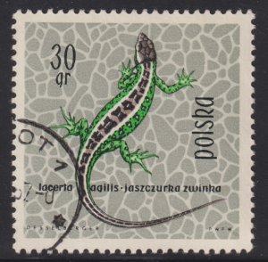 Poland 1134 Sand Lizard 1963