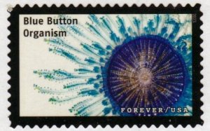 SC# 5802p - (66) Life Magnified, Blue Button Organism16 of 20 - Used Off Paper