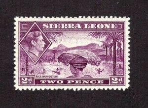 Sierra Leone stamp #176, MVLH OG,  CV $24.00