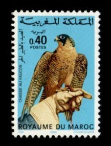 Morocco #458 MLH