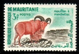 Aoudad, Barbary Sheep, Mauritania stamp SC#122 Mint