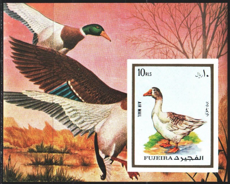 Fujairah. 1972. bl131B. Goose, birds, fauna. MNH. 