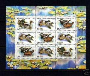 RUSSIA - 1991 - BIRDS - DUCKS - MINT - MINI-SHEET OF 9!
