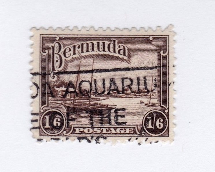 Bermuda       114       used