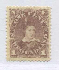 Newfoundland 1880 1 cent gray brown mint o.g. hinged