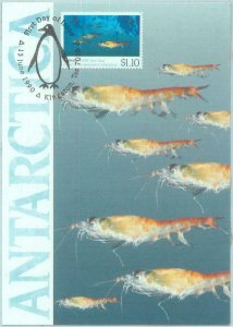 89896 - AUSTRALIA  - Postal History - MAXIMUM CARD -  1990 MARINE LIFE  Shrimp