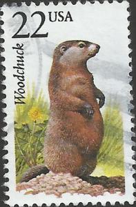 # 2307 USED WOODCHUCK