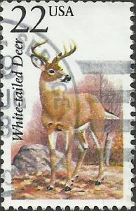 # 2317 USED WHITE-TAILED DEER