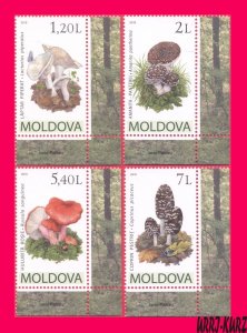 MOLDOVA 2010 Nature Flora Mushrooms Fungi 4v 665-668 Mi 694-697 MNH