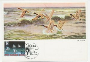 Maximum card San Marino 1996 Bird - Duck