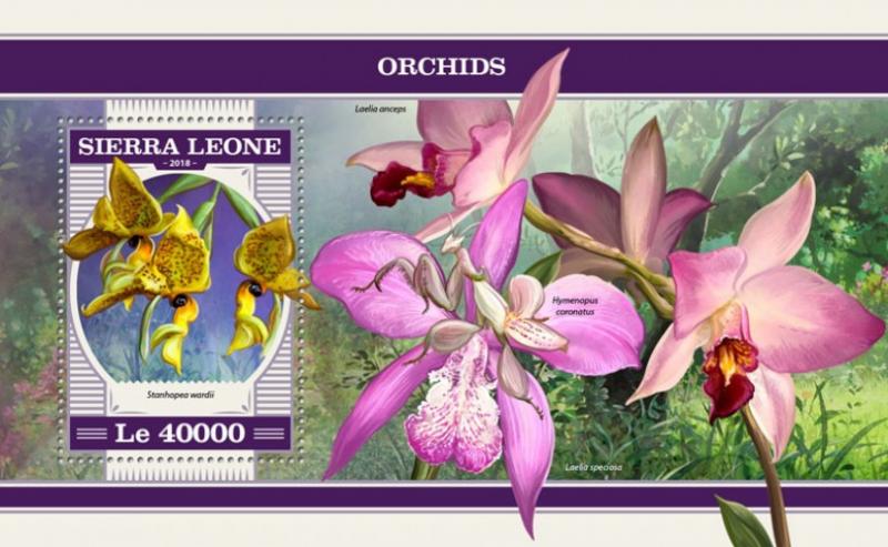 SIERRA LEONE - 2018 - Orchids - Perf Souv Sheet - MNH