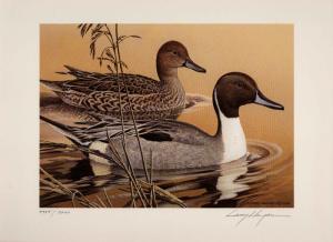 ARKANSAS #4 1984 DUCK STAMP PRINT PINTAILS by  Larry Hayden  2 stamps Reg.$495