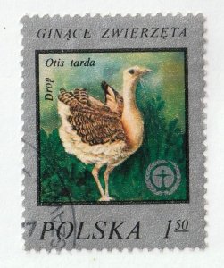 Poland      2216        used