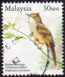 Malaysia 1025 - Used - 30c Ochraceous Bulbul (2005)