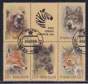 Russia 1988 Sc B145a Zoo Relief Fund Block of 6 Stamp CTO