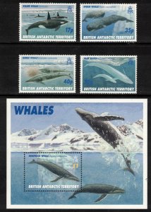 BRITISH ANTARCTIC 1996 Whales; Scott 244-48, SG 265-69; MNH