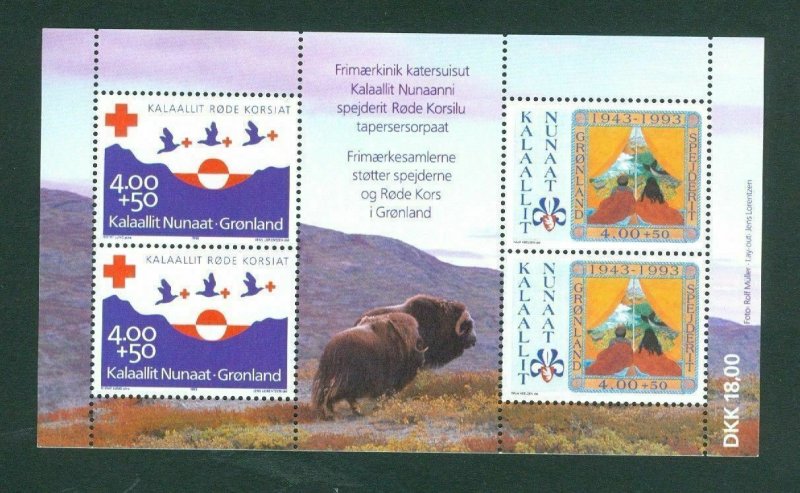 Greenland.  Souvenir Sheet 1993 Mnh. Red Cross. Scout Movement. Semi-Postal