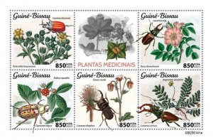 Guinea-Bissau - 2023 Medicinal Plants and Beetles - 5 Stamp Sheet - GB230141a