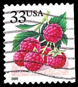 # 3295a USED RASPBERRIES