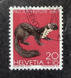 Switzerland 1967 Scott B371 used - 20+10c,  Wild animals, Marten