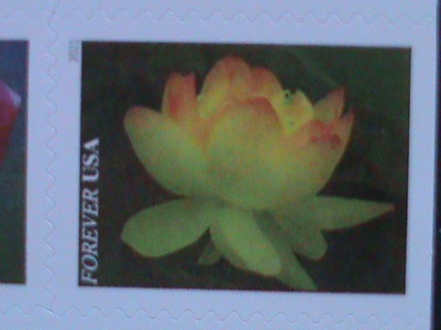 ​UNITED STATES- GARDEN BEAUTY-LOVELY FLOWERS-FOREVER MNH BOOKLET VERY FINE