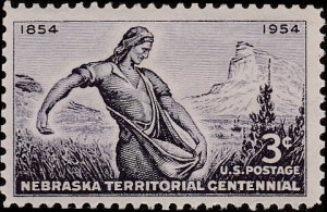 # 1060 MINT NEVER HINGED ( MNH ) NEBRASKA TERRITORY    