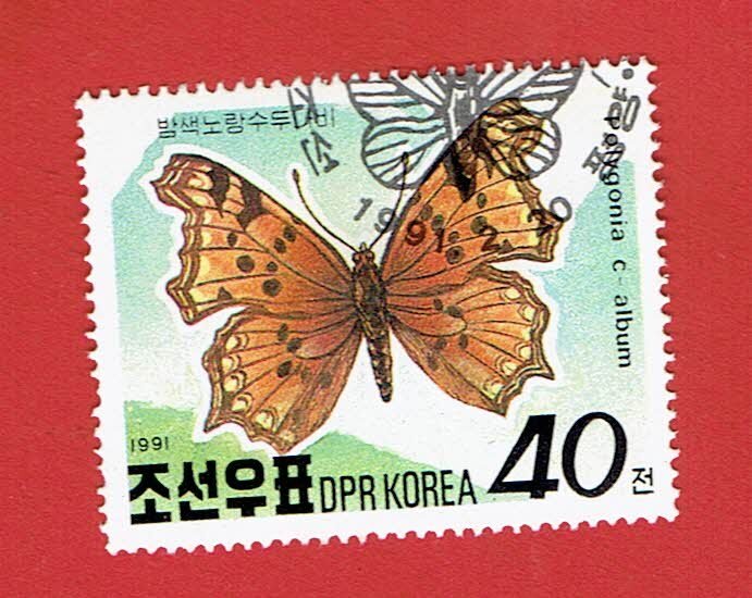NORTH KOREA SCOTT#2980 1991 40c COMMA BUTTERFLY - USED