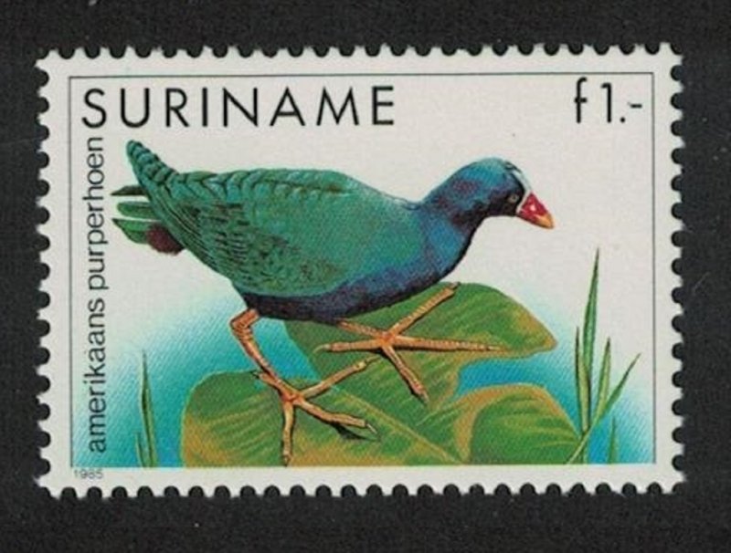 Suriname American Purple Gallinule Bird 1985 MNH SG#1248