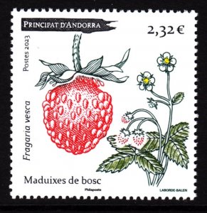 ANDORRA (F) 2023 FLOWERS FRUITS WILD STRAWBERRIES PLANTS MADUIXES DE BOSC