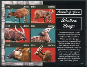 Liberia 2015 MNH Animals of Africa Western Bongo 6v M/S Antelopes Fauna