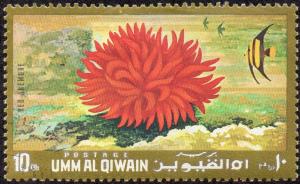 Umm al Qiwain sw677 - Used - 10dh Red Anemone (1972)