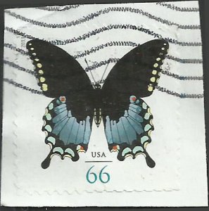 # 4736 USED SPICEBUSH SWALLOWTAIL