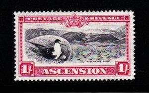 Album Treasures Ascension Scott # 30  1sh  George V Sooty Tern Colony Mint H