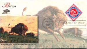 FDC 2001 SC #3505 Fleetwood Cachet, Buffalo - New York, Ny - Single - J2748