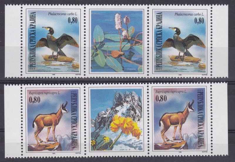Croatia Krajina 1995 Fauna Animals Cormorant Birds Chamois Goats Mammals MNH a