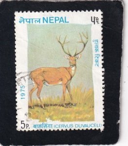 Nepal   #     305    used