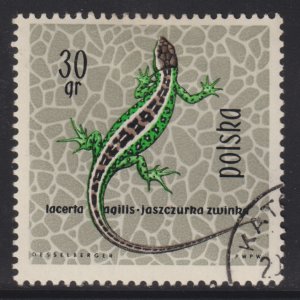 Poland 1134 Sand Lizard 1963